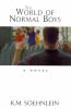 The_world_of_normal_boys
